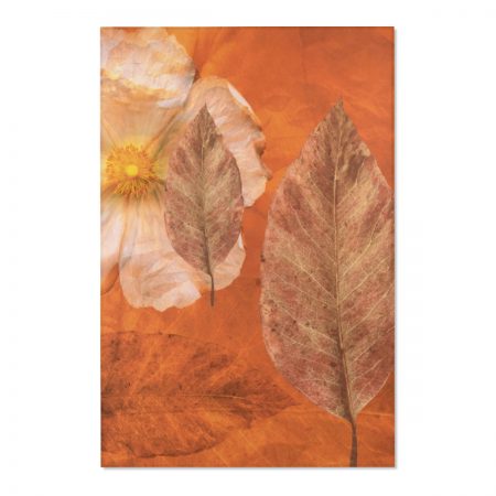 Area Rugs / Mats Flower Art Print Old Antique Vintage Botanical Beige Brown Leaf Leaves