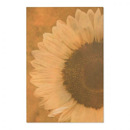 Area Rugs / Mats Large Sunflower Flower Art Print Old Antique Vintage Beige Yellow Brown