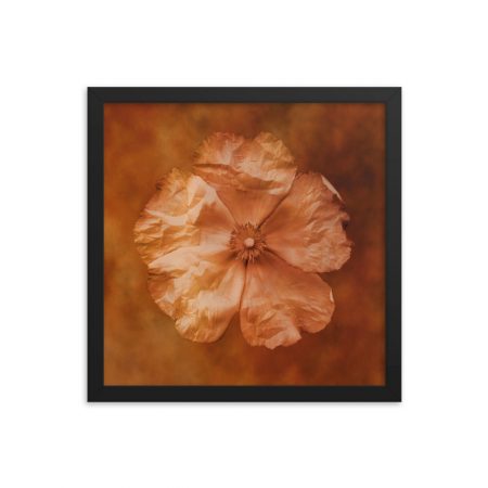 Framed Poster Flower Art Print Old Antique Vintage Botanical Tan Beige Brown - Image 10