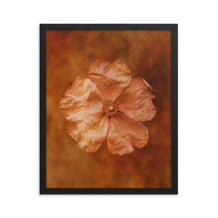 Framed Poster Flower Art Print Old Antique Vintage Botanical Tan Beige Brown - Image 13