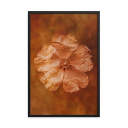 Framed Poster Flower Art Print Old Antique Vintage Botanical Tan Beige Brown - Image 15