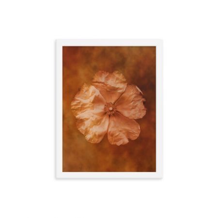 Framed Poster Flower Art Print Old Antique Vintage Botanical Tan Beige Brown - Image 3