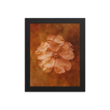 Framed Poster Flower Art Print Old Antique Vintage Botanical Tan Beige Brown - Image 6