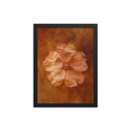 Framed Poster Flower Art Print Old Antique Vintage Botanical Tan Beige Brown - Image 9