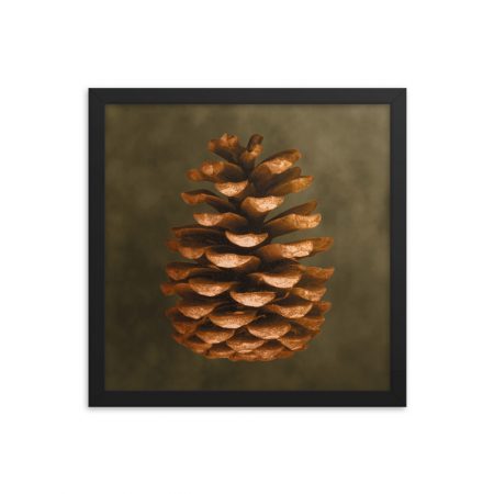 Framed Poster Pine Cone Print Beige Green Brown Nature Art Print Old Antique Vintage - Image 10