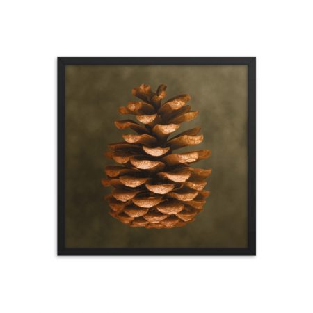 Framed Poster Pine Cone Print Beige Green Brown Nature Art Print Old Antique Vintage - Image 14