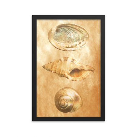 Framed Poster Sea Shells Ocean Beach Beige Sand Art Print Old Antique Vintage - Image 11