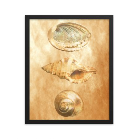 Framed Poster Sea Shells Ocean Beach Beige Sand Art Print Old Antique Vintage - Image 13