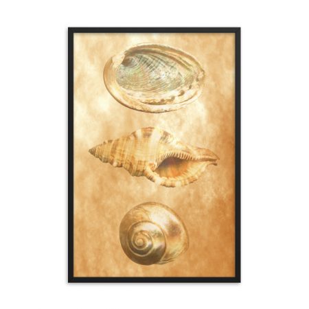 Framed Poster Sea Shells Ocean Beach Beige Sand Art Print Old Antique Vintage - Image 15