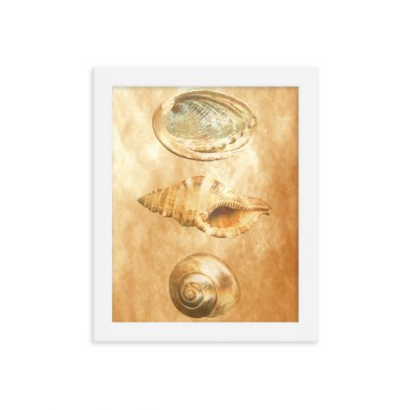 Framed Poster Sea Shells Ocean Beach Beige Sand Art Print Old Antique Vintage - Image 2