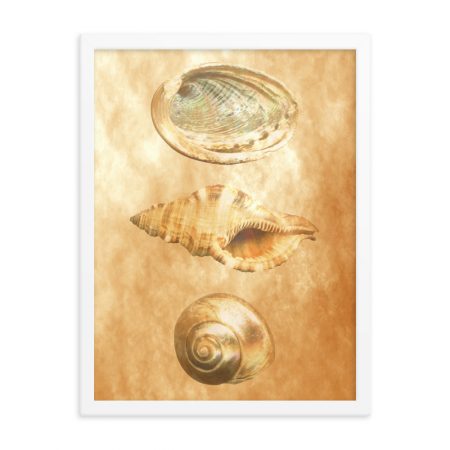 Framed Poster Sea Shells Ocean Beach Beige Sand Art Print Old Antique Vintage - Image 4