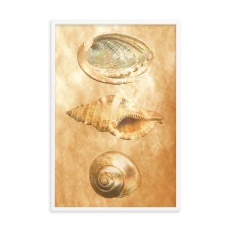 Framed Poster Sea Shells Ocean Beach Beige Sand Art Print Old Antique Vintage - Image 5