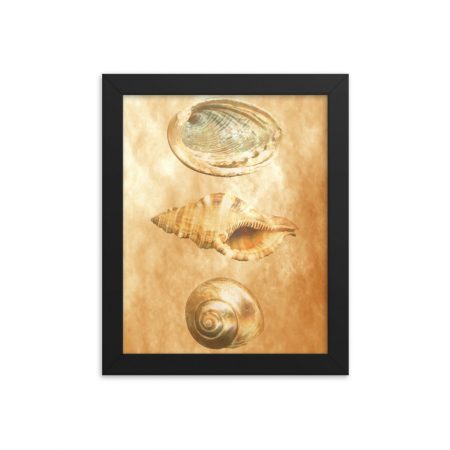 Framed Poster Sea Shells Ocean Beach Beige Sand Art Print Old Antique Vintage - Image 6