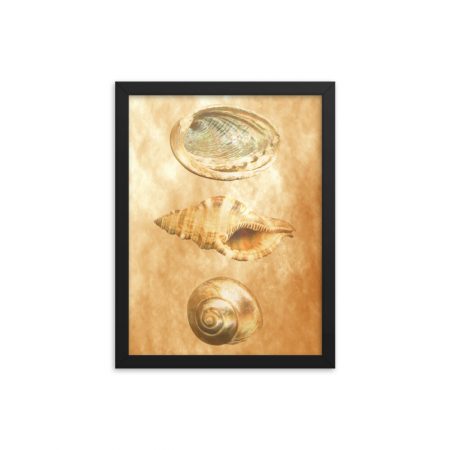 Framed Poster Sea Shells Ocean Beach Beige Sand Art Print Old Antique Vintage - Image 9