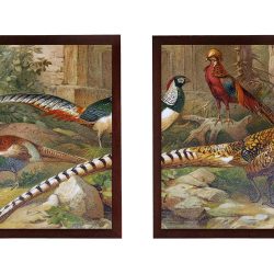 INSTANT DOWNLOAD Birds Pheasant Set of 2 Print Poster Wall Art Old Book Vintage Style Illustration Drawing Painting Antique Printable Animal