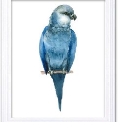 INSTANT DOWNLOAD Blue Parrot Watercolor Art Painting Print Poster Bird Home Decor Wall Art Child Nursery Art