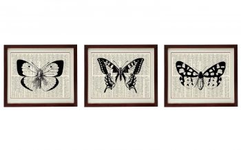 INSTANT DOWNLOAD Butterflies Vintage Style Print Set of 3 Prints Butterfly Art Print Book Page Dictionary Old Antique Printable Animal Art