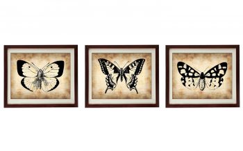 INSTANT DOWNLOAD Butterflies Vintage Style Set of 3 Prints Butterfly Art Parchment Paper Old Antique Printable Animal Art Print