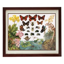 INSTANT DOWNLOAD Butterflies Wall Art Vintage Style Print Poster Old Book Plate Drawing Illustration Antique Printable Butterfly Wall Decor