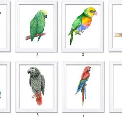 INSTANT DOWNLOAD Colorful Parrot Watercolor Art Painting Print Poster Bird Painting Blue Yellow Orange Home Decor Wall Art Child Nursery Art