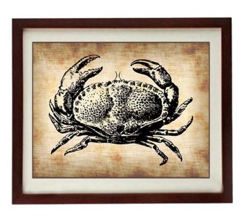 INSTANT DOWNLOAD Crab Vintage Style Ocean Nautical Print Crab Art Print Parchment Old Antique Printable Marine Beach Sea Wall Decor Bathroom