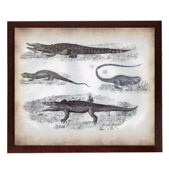 INSTANT DOWNLOAD Crocodile Lizard Vintage Style Print Poster Wall Art Parchment Paper Old Book Illustration Antique Printable Animal Decor