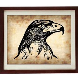 INSTANT DOWNLOAD Eagle Head Bird Vintage Style Print - Art Print Parchment Paper Old Antique Printable - Vintage Animal Art Print