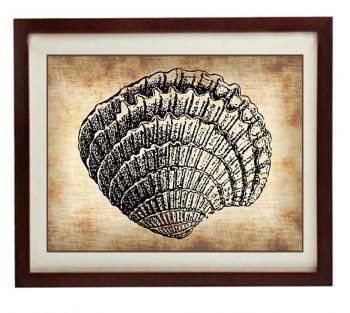 INSTANT DOWNLOAD Fan Seashell Shell Lobster Vintage Style Ocean Nautical Print Art Parchment Old Antique Printable Beach Wall Decor Bathroom