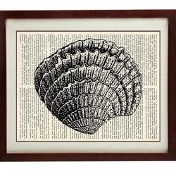 INSTANT DOWNLOAD Fan Seashell Shell Vintage Style Ocean Nautical Print Art Book Page Dictionary Printable Marine Beach Wall Decor Bathroom