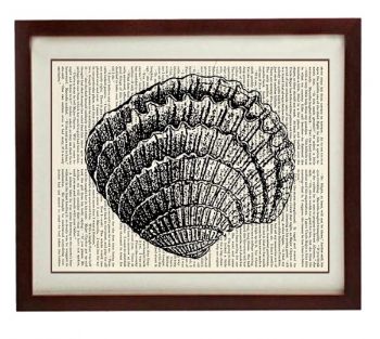 INSTANT DOWNLOAD Fan Seashell Shell Vintage Style Ocean Nautical Print Art Book Page Dictionary Printable Marine Beach Wall Decor Bathroom