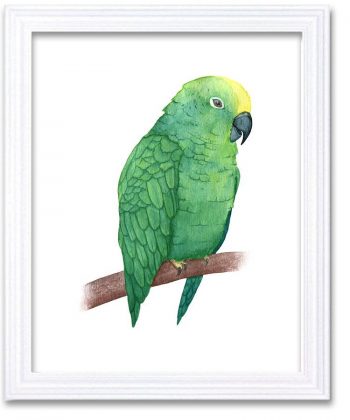 INSTANT DOWNLOAD Green Parrot Watercolor Art Painting Yellow Print Poster Bird Home Decor Wall Art Child Nursery Art