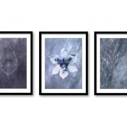 INSTANT DOWNLOAD Grey Orchid Flower Leaf Branch Botanical Bathroom Gray White Set of 3 Elegant Watercolor Painting Wall Decor Bedroom