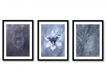 INSTANT DOWNLOAD Grey Orchid Flower Leaf Branch Botanical Bathroom Gray White Set of 3 Elegant Watercolor Painting Wall Decor Bedroom