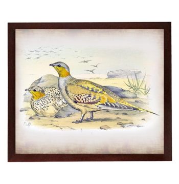 INSTANT DOWNLOAD Grey Yellow Bird Vintage Style Print Poster Wall Art Parchment Paper Old Book Illustration Antique Printable Animal Decor