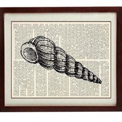 INSTANT DOWNLOAD Horn Seashell Shell Vintage Style Ocean Nautical Print Art Book Page Dictionary Printable Beach Sea Wall Decor Bathroom