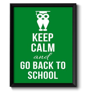 INSTANT DOWNLOAD Keep Calm Poster Keep Calm and Go Back To School White Green Art Print Wall Decor Custom Stay Calm Owl quote inspirational