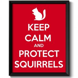 INSTANT DOWNLOAD Keep Calm Poster Keep Calm and Protect Squirrels Red White Art Print Wall Decor Custom Stay Calm poster quote inspirational