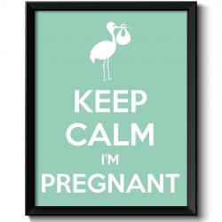 INSTANT DOWNLOAD Keep Calm Poster Keep Calm I'm Pregnant Mint Green White Art Print Wall Decor Custom Stay Calm poster Stork quote