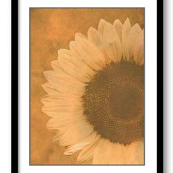 INSTANT DOWNLOAD Large Sunflower Flower  Art Print Old Antique Vintage Printable Bathroom Bedroom Beige Yellow Brown