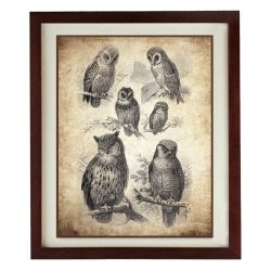 INSTANT DOWNLOAD Owl Old Book Illustration Print Poster Wall Art Bird Parchment Paper Vintage Style Antique Printable Animal Wall Decor