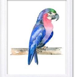 INSTANT DOWNLOAD Parrot Watercolor Art Painting Blue Red Green Print Poster Bird Home Decor Wall Art Child Nursery Art