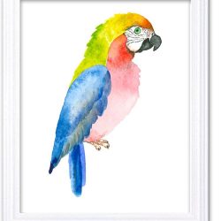 INSTANT DOWNLOAD Parrot Watercolor Art Painting Blue Red Yellow Print Poster Bird Home Decor Wall Art Child Nursery Art