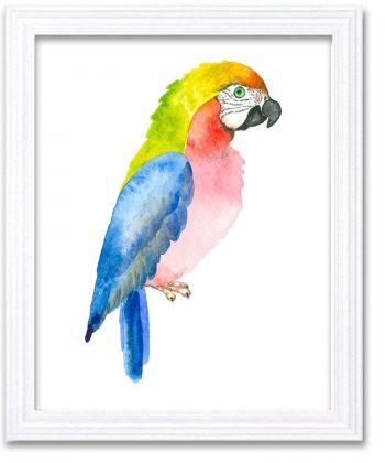 INSTANT DOWNLOAD Parrot Watercolor Art Painting Blue Red Yellow Print Poster Bird Home Decor Wall Art Child Nursery Art