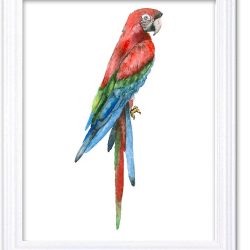 INSTANT DOWNLOAD Parrot Watercolor Art Painting Green Blue Red Print Poster Bird Home Decor Wall Art Child Nursery Art