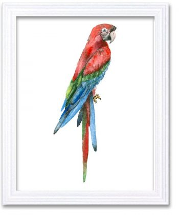 INSTANT DOWNLOAD Parrot Watercolor Art Painting Green Blue Red Print Poster Bird Home Decor Wall Art Child Nursery Art