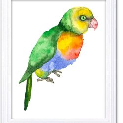 INSTANT DOWNLOAD Parrot Watercolor Art Painting Green Blue Red Yellow Print Poster Bird Home Decor Wall Art Child Nursery Art