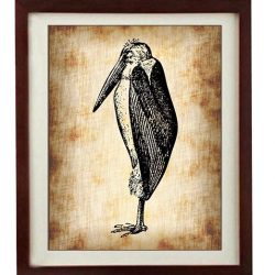 INSTANT DOWNLOAD Pelican Bird Vintage Style Print - Art Print Parchment Paper Old Antique Printable - Vintage Animal Art Print