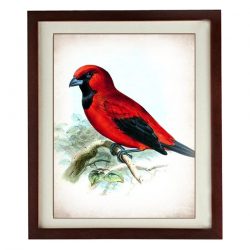 INSTANT DOWNLOAD Red Bird Parchment Wall Art Vintage Style Print Poster Wall Art Old Painting Antique Printable Animal Wall Decor