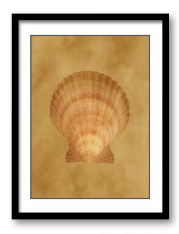 INSTANT DOWNLOAD Sea Shell Ocean Beige Sand Art Print Old Antique Vintage Botanical Bathroom Bedroom Beige Brown Leaf