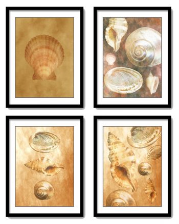 INSTANT DOWNLOAD Sea Shells Ocean Beige Sand Art Set of 4 Prints Old Antique Vintage Botanical Printable Bathroom Bedroom Beige Brown Leaf